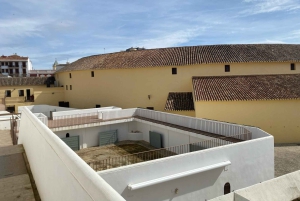 fra Estepona, Marbella, Mijas: RONDA privat tur inkl. transport og tapas