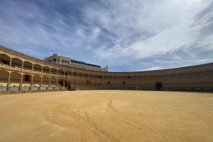 fra Estepona, Marbella, Mijas: RONDA privat tur inkl. transport og tapas