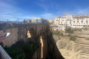 fra Estepona, Marbella, Mijas: RONDA privat tur inkl. transport og tapas