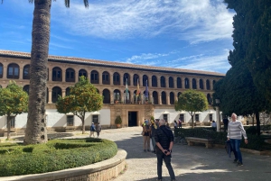 fra Estepona, Marbella, Mijas: RONDA privat tur inkl. transport og tapas