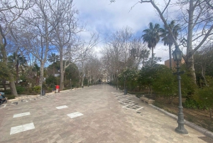 fra Estepona, Marbella, Mijas: RONDA privat tur inkl. transport og tapas