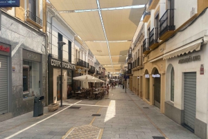 From Estepona: Ronda, including transport, cafe, bullring, tapas, and drinks