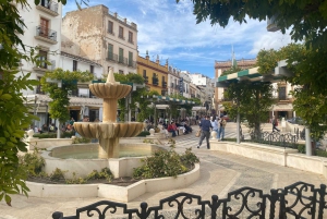 From Estepona: Ronda, including transport, cafe, bullring, tapas, and drinks