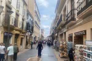 From Estepona: Ronda, including transport, cafe, bullring, tapas, and drinks
