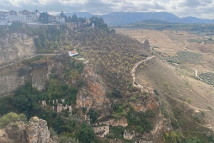From Estepona: Ronda, including transport, cafe, bullring, tapas, and drinks