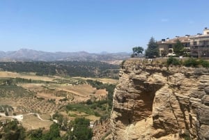 från Estepona: Ronda Tour privat, inklusive skyttel, café, tjurfäktningsarena, tapas, drycker