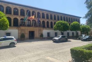 från Estepona: Ronda Tour privat, inklusive skyttel, café, tjurfäktningsarena, tapas, drycker