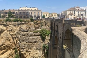 från Estepona: Ronda Tour privat, inklusive skyttel, café, tjurfäktningsarena, tapas, drycker