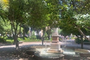 från Estepona: Ronda Tour privat, inklusive skyttel, café, tjurfäktningsarena, tapas, drycker