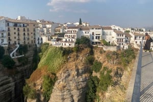 från Estepona: Ronda Tour privat, inklusive skyttel, café, tjurfäktningsarena, tapas, drycker