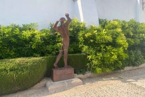 från Estepona: Ronda Tour privat, inklusive skyttel, café, tjurfäktningsarena, tapas, drycker