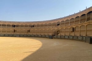 från Estepona: Ronda Tour privat, inklusive skyttel, café, tjurfäktningsarena, tapas, drycker