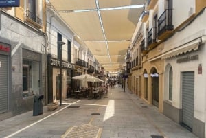 från Estepona: Ronda Tour privat, inklusive skyttel, café, tjurfäktningsarena, tapas, drycker