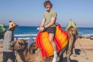 Z Estepony: 1-dniowa wycieczka do Tangeru z promem, wielbłądami i sukiem