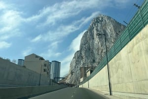 from La Cala/Marbella/Estepona: Gibraltar tour with monkey rock and shopping