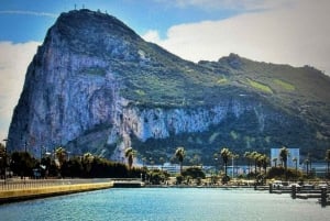 from La Cala/Marbella/Estepona: Gibraltar tour with monkey rock and shopping