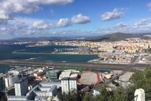 from La Cala/Marbella/Estepona: Gibraltar tour with monkey rock and shopping