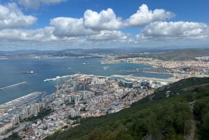 from La Cala/Marbella/Estepona: Gibraltar tour with monkey rock and shopping