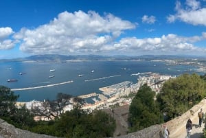 from La Cala/Marbella/Estepona: Gibraltar tour with monkey rock and shopping