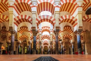 From la Costa del Sol: One Day in Córdoba + Mezquita