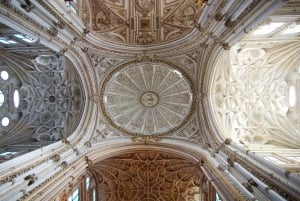 From la Costa del Sol: One Day in Córdoba + Mezquita