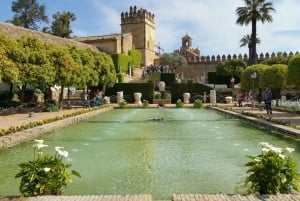 From Madrid: Andalucia & Toledo 5-Day Trip