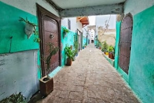 Da Malaga e dalla Costa del Sol: Escursione di un giorno a Tetouan, Marocco