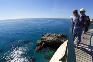 From Malaga or Marbella: Nerja & Frigiliana Day Tour