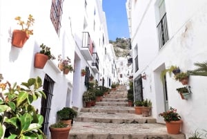 From Malaga or Marbella: Nerja & Frigiliana Day Tour