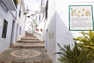 From Malaga or Marbella: Nerja & Frigiliana Day Tour