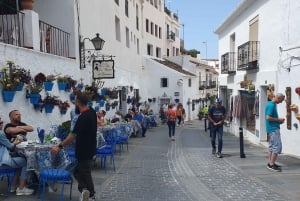 From Malaga: Private guided tour of Marbella, Mijas, Banús