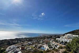 Desde Málaga: tour privado de lujo en Tesla X por el casco antiguo de Marbella