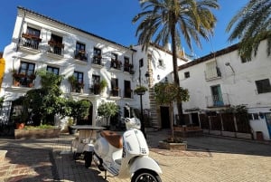 Desde Málaga: tour privado de lujo en Tesla X por el casco antiguo de Marbella