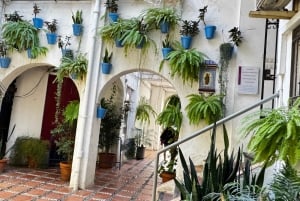 Desde Málaga: tour privado de lujo en Tesla X por el casco antiguo de Marbella