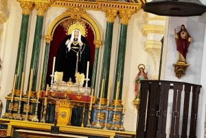 Desde Málaga: tour privado de lujo en Tesla X por el casco antiguo de Marbella