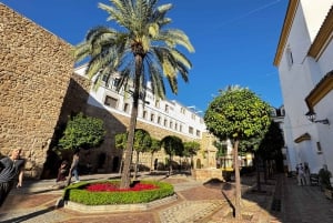 Desde Málaga: tour privado de lujo en Tesla X por el casco antiguo de Marbella