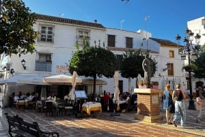 Desde Málaga: tour privado de lujo en Tesla X por el casco antiguo de Marbella