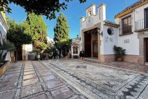 Desde Málaga: tour privado de lujo en Tesla X por el casco antiguo de Marbella