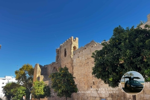 Desde Málaga: tour privado de lujo en Tesla X por el casco antiguo de Marbella