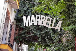 Desde Málaga: tour privado de lujo en Tesla X por el casco antiguo de Marbella