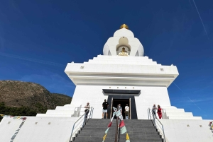 Desde Málaga: tour privado de lujo en Tesla X por el casco antiguo de Marbella