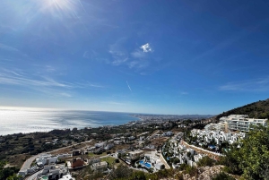 Desde Málaga: tour privado de lujo en Tesla X por el casco antiguo de Marbella