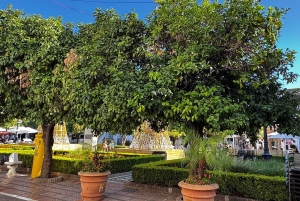 Desde Málaga: tour privado de lujo en Tesla X por el casco antiguo de Marbella