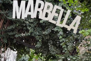 Desde Málaga: tour privado de lujo en Tesla X por el casco antiguo de Marbella