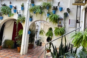 Desde Málaga: tour privado de lujo en Tesla X por el casco antiguo de Marbella