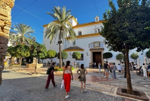 Desde Málaga: tour privado de lujo en Tesla X por el casco antiguo de Marbella