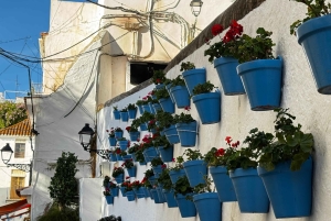 Desde Málaga: tour privado de lujo en Tesla X por el casco antiguo de Marbella