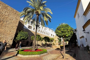 Desde Málaga: tour privado de lujo en Tesla X por el casco antiguo de Marbella