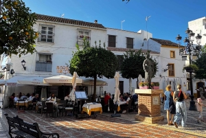Desde Málaga: tour privado de lujo en Tesla X por el casco antiguo de Marbella