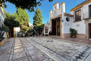 Desde Málaga: tour privado de lujo en Tesla X por el casco antiguo de Marbella